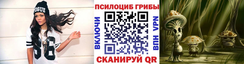 Галлюциногенные грибы Psilocybine cubensis  где найти   Ленинградская 